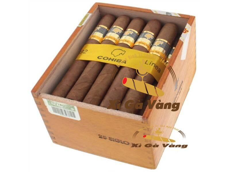 Siglo IV Tubos kích thước nhỏ nhắn, màu sáng dầu quý phái